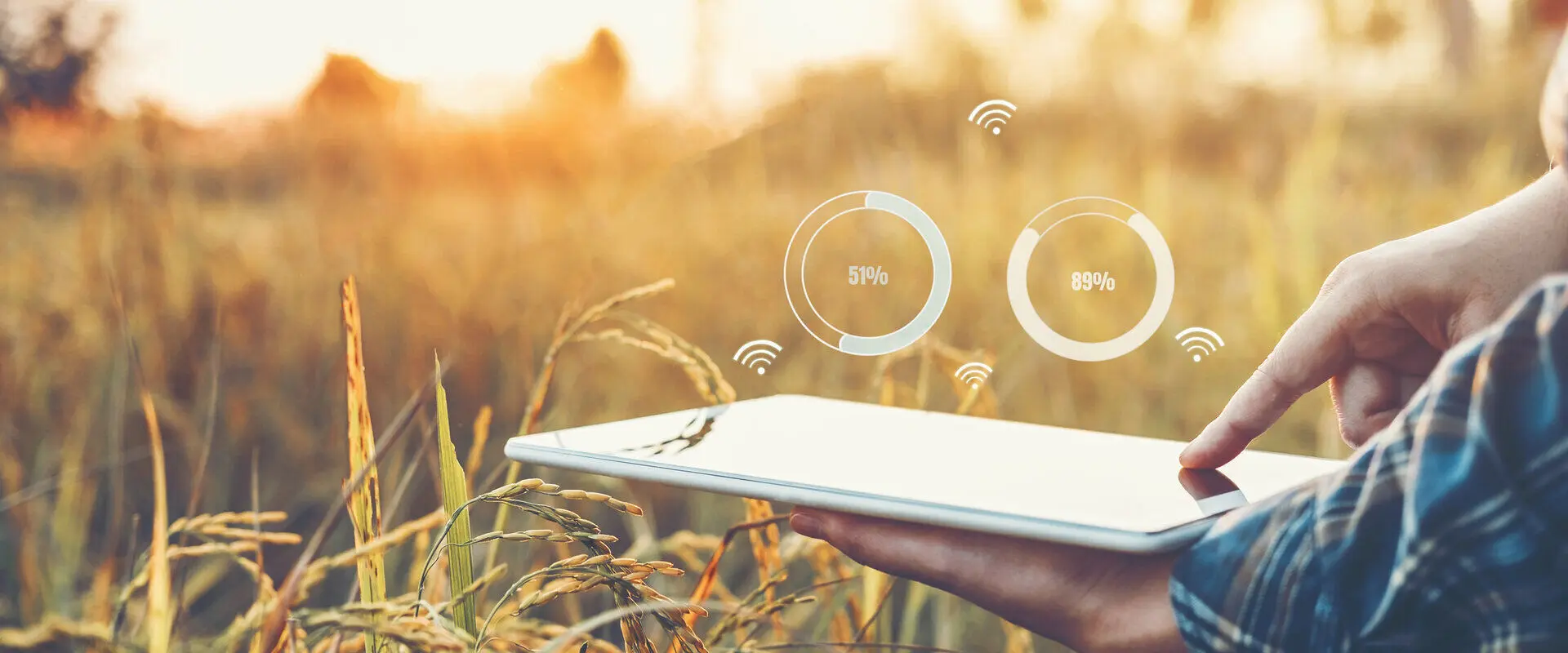 MSc Agrifood Sustainability at the University of Pavia