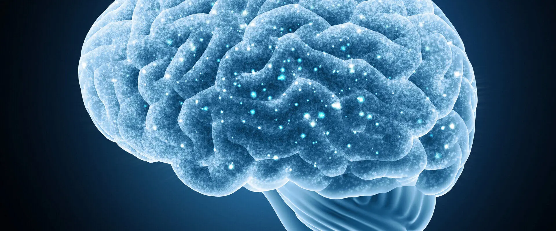 MSc Neurobiology at the University of Pavia