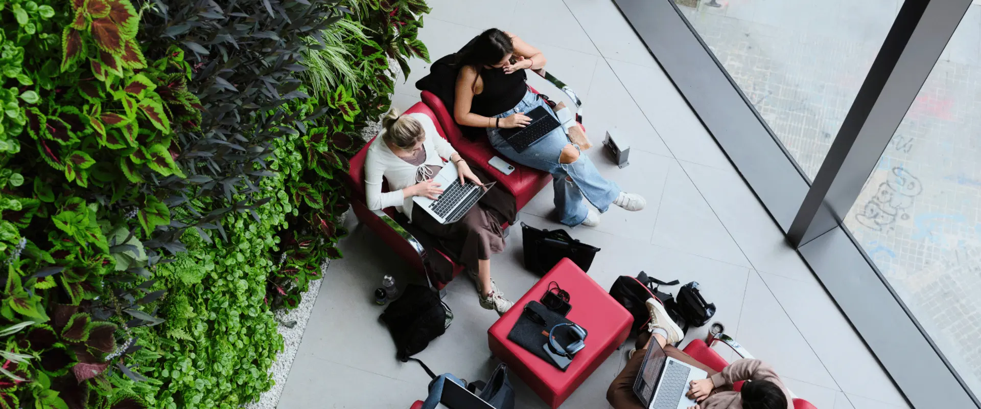 MSc Sustainable Financial Management with Data Analytics (Barcelona) at TBS Education