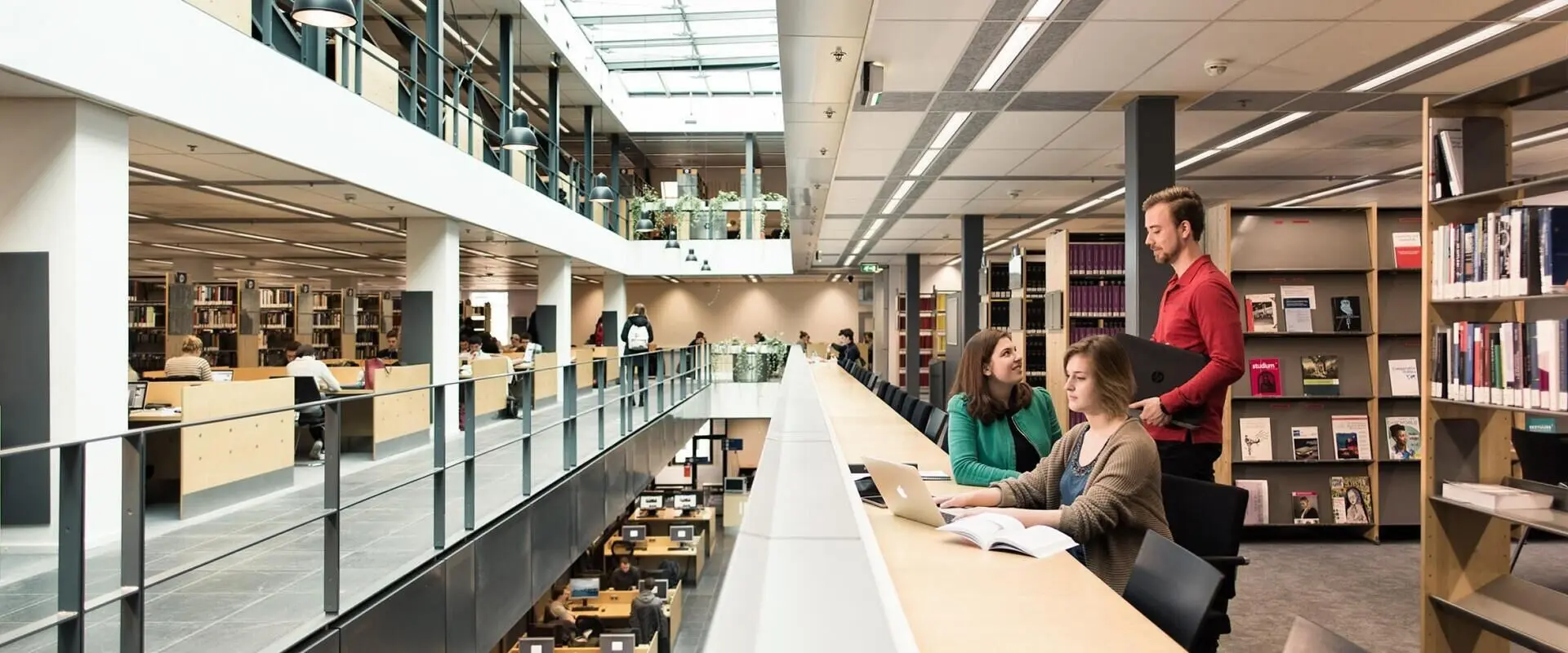 BSc Maastricht Science Programme at Maastricht University