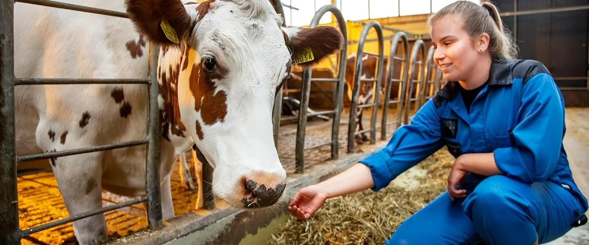 Bachelor Climate Smart Agriculture at HAMK Häme University of Applied Sciences