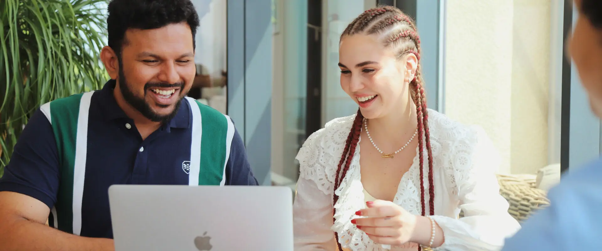 MSc Sustainable Development, Management and Policy at Modul University Vienna