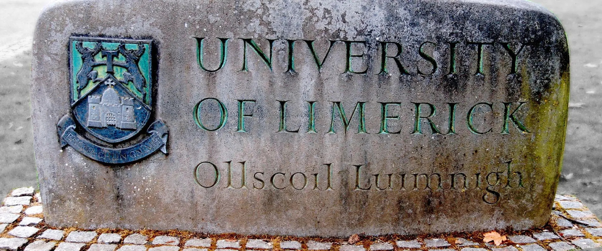 Study at University of Limerick