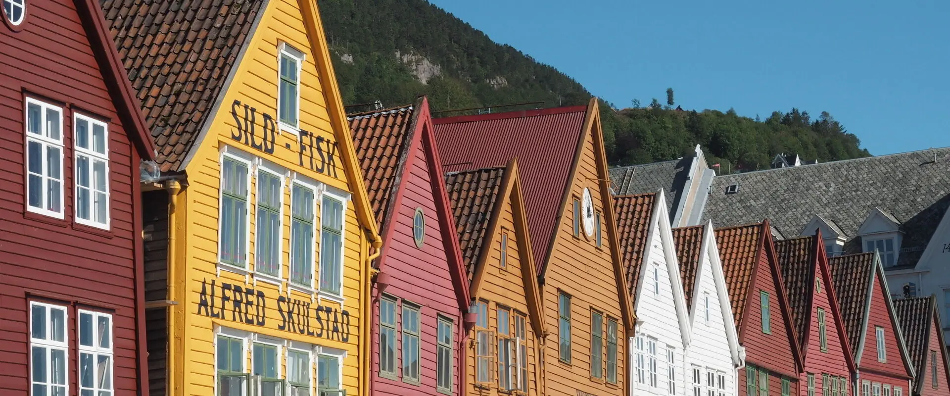 Bachelors in Norway