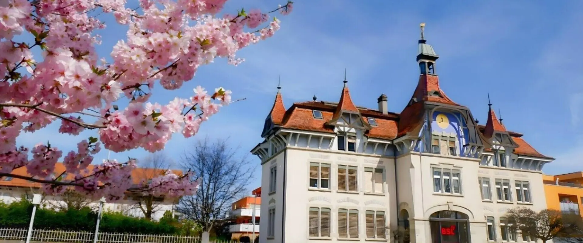 Study at Business School Lausanne (BSL)