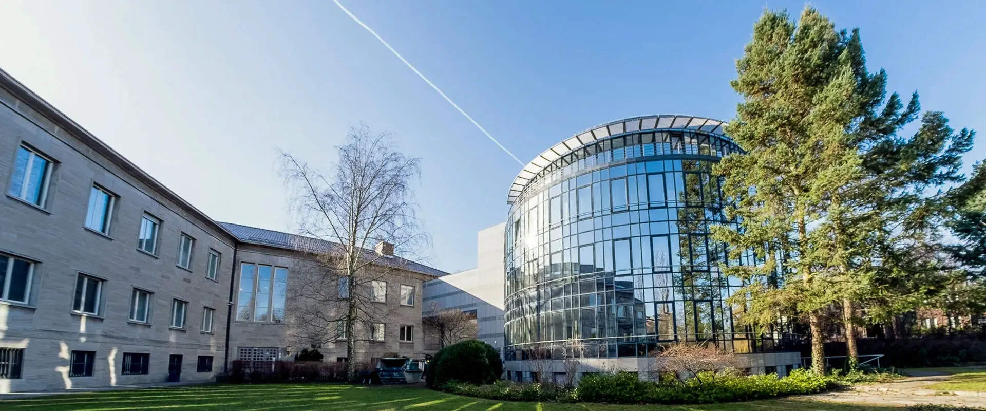 BA Social Work at the MSB Medical School Berlin