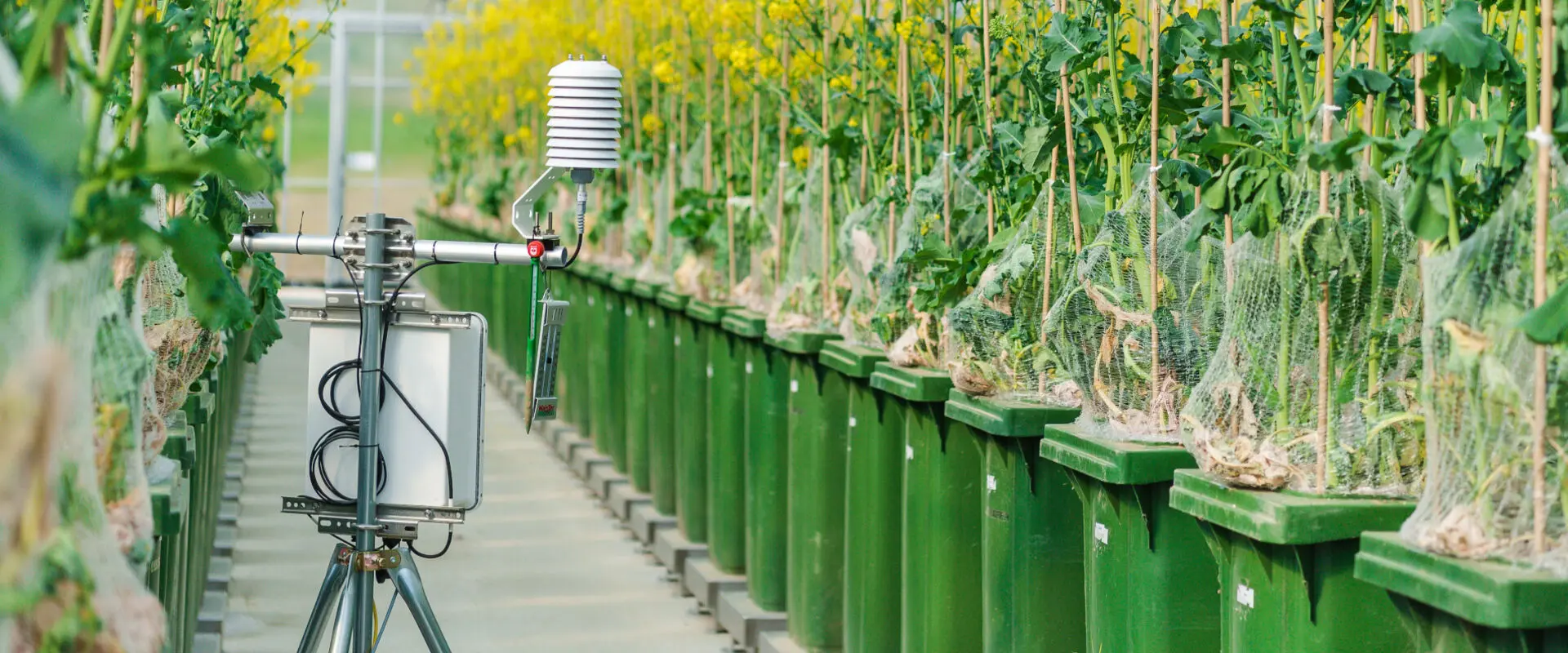 BSc Environmental Sciences at Justus Liebig University of Giessen