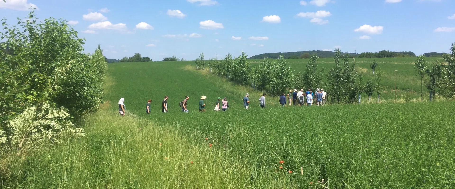 BSc Global Food Systems at Justus Liebig University of Giessen