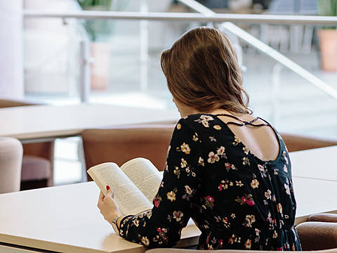 Here are the 7 books you can’t miss before studying in Holland