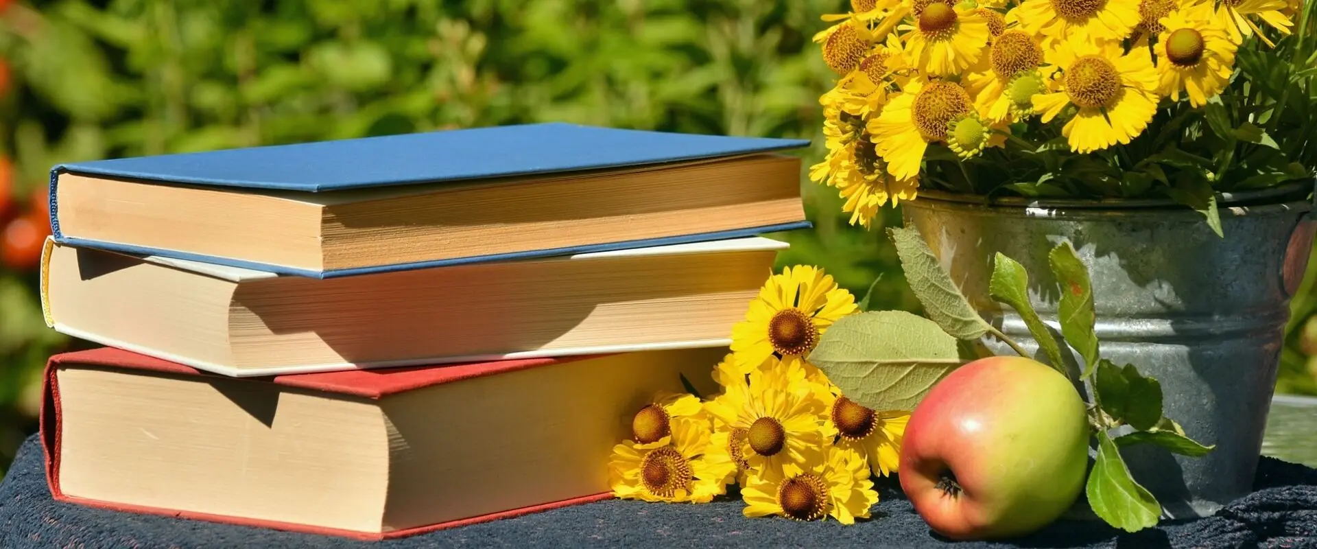 The top 8 books you should read before you study in Finland
