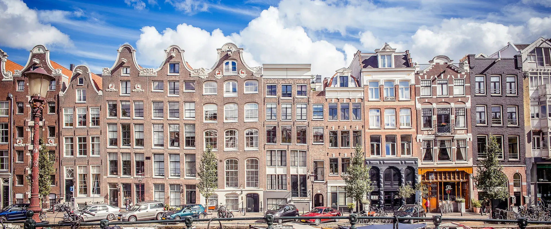 Bachelors in the Netherlands