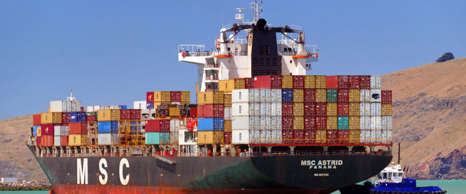 Career in Supply Chain Management & Logistics: What to study?