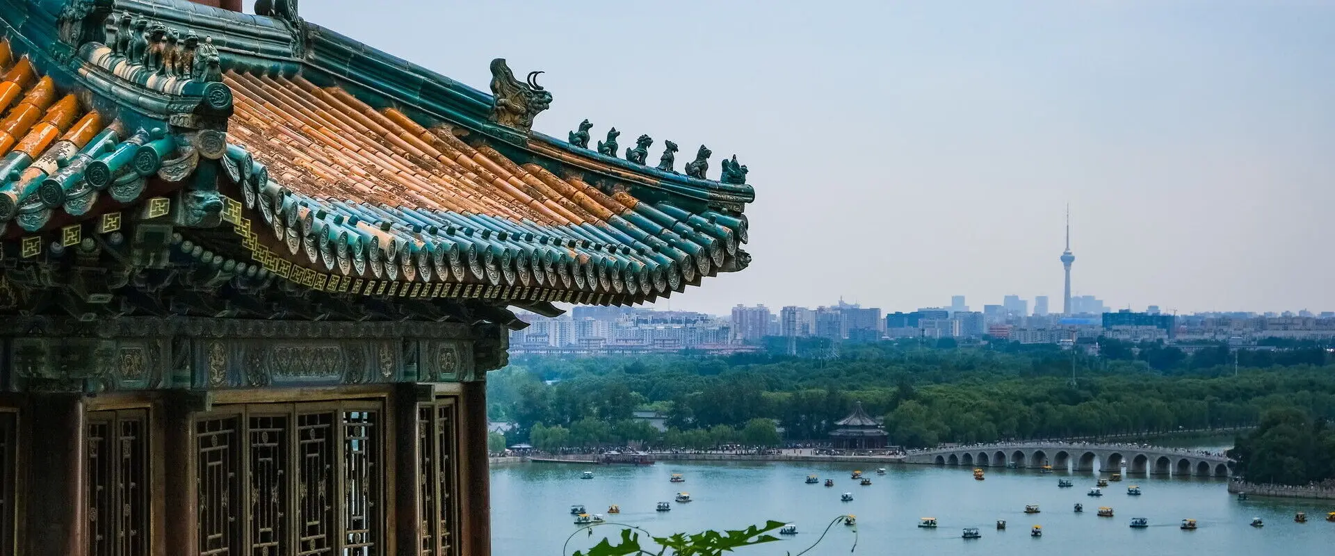 Degree in Chinese Studies: All you need to know