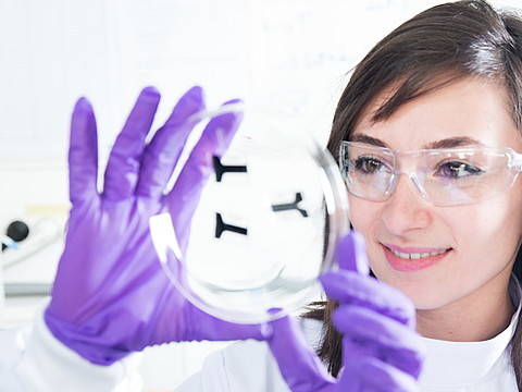 Study Biomedicine or Biomedical Sciences: All you need to know