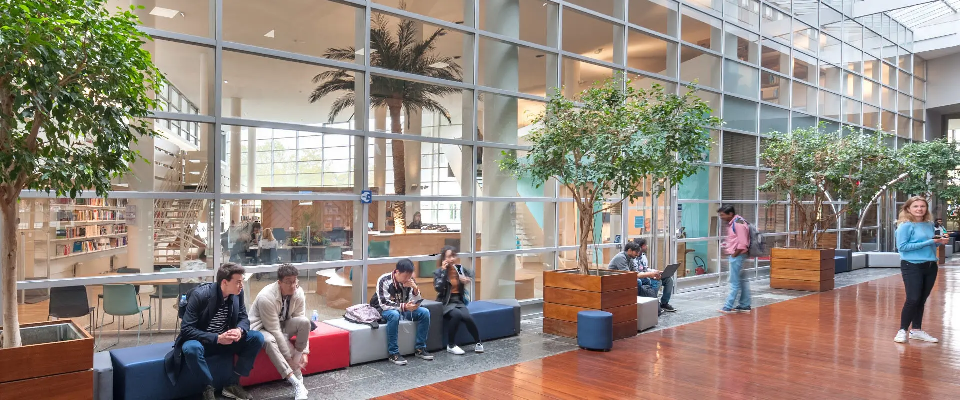 Master Food & Agribusiness Management at Audencia Business School