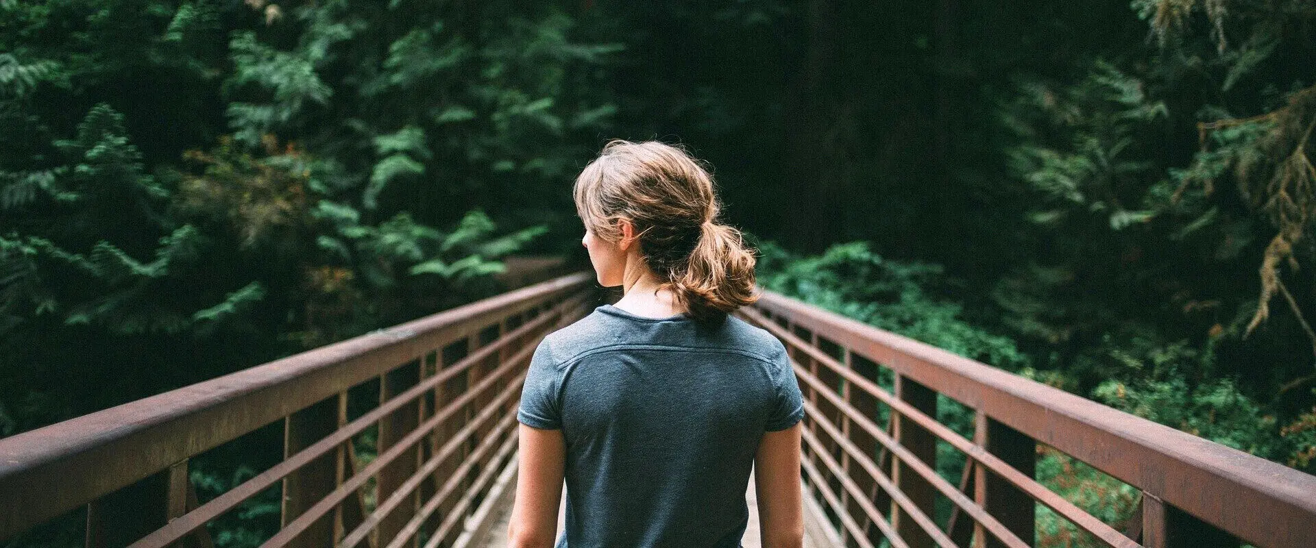 How students can help protect the environment