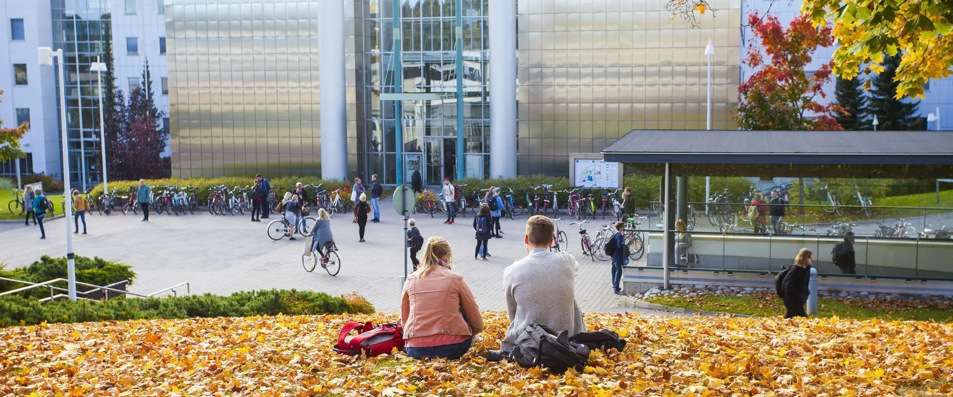 Study at Tampere University