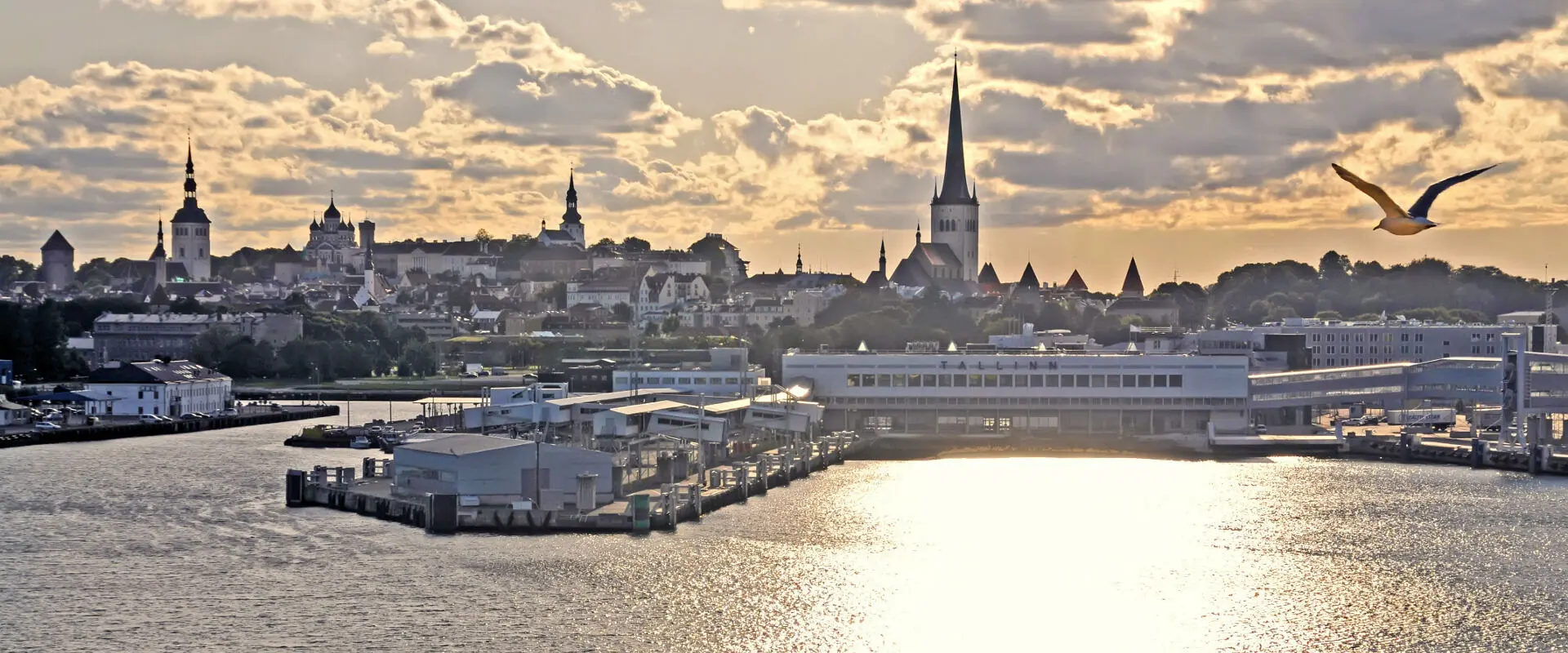 Study in Estonia