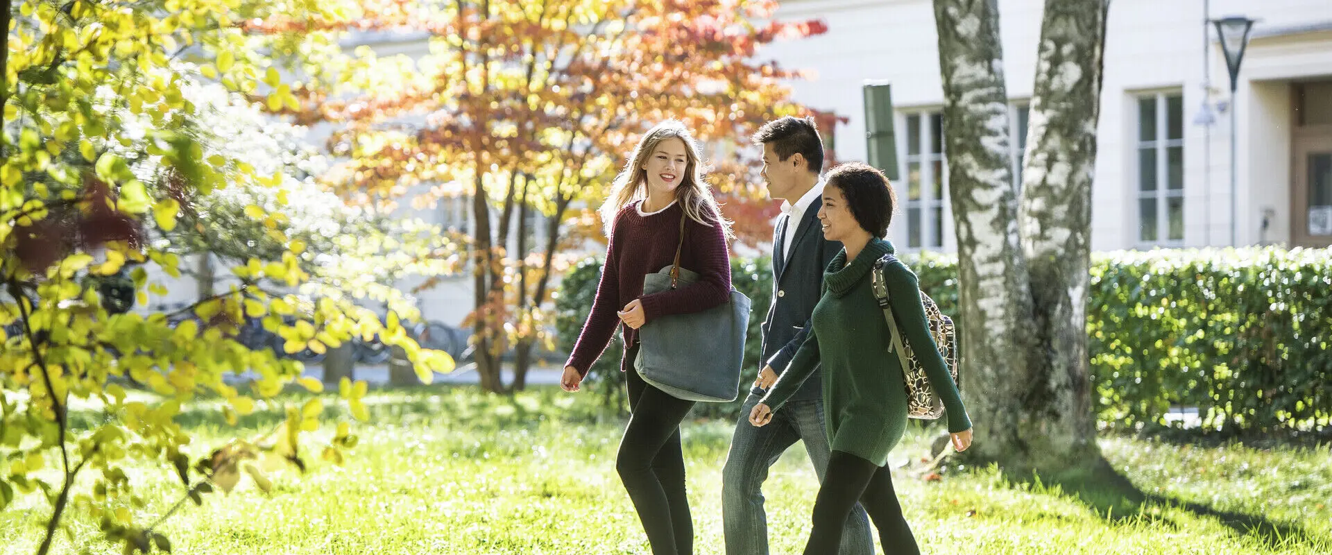 8 Reasons to Study in Sweden