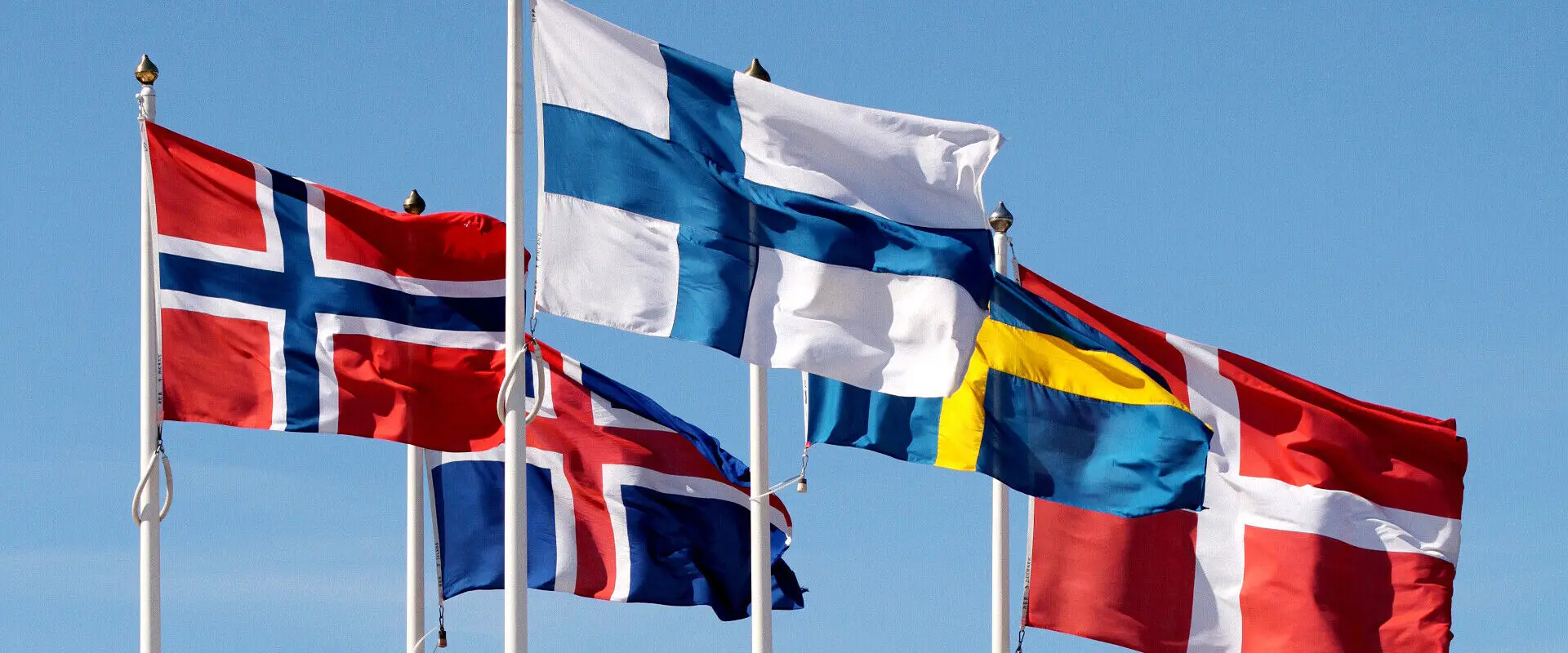 Study in Scandinavia: The ultimate guide