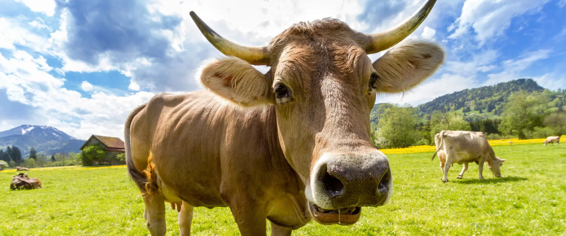 Top 10 Best Universities for Agriculture in Europe in 2026