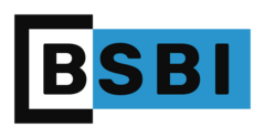 BSBI School of Business and Innovation - Logo